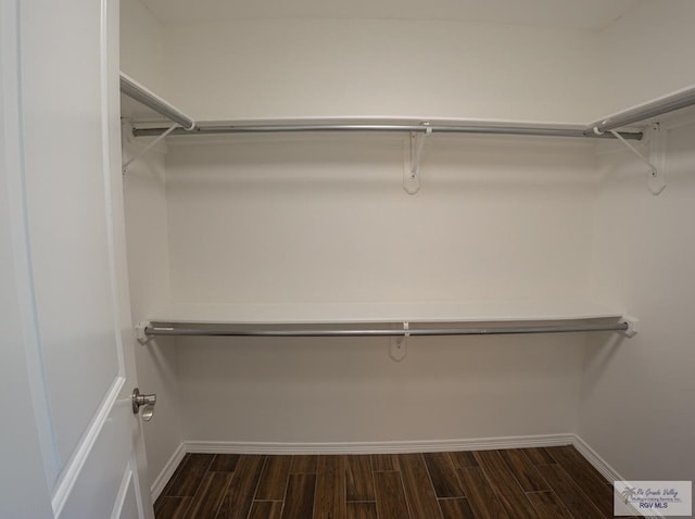 17077 Tangelo Ave, Harlingen, TX 78552 - walk in closet featuring dark wood-style flooring