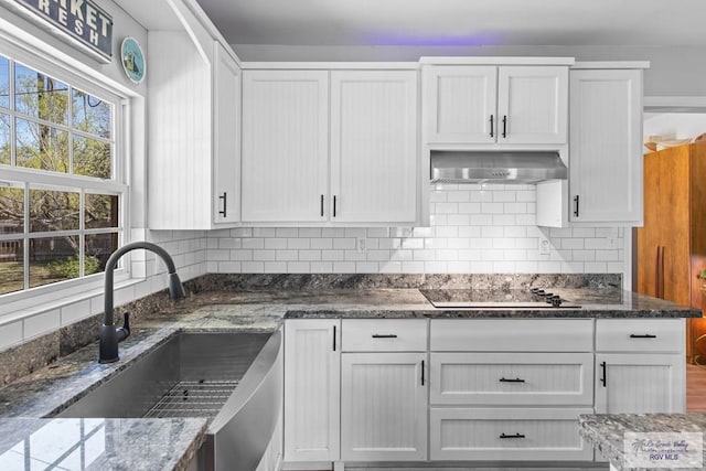 kitchen with a sink, a wealth of natural light, black electric stovetop, and exhaust hood