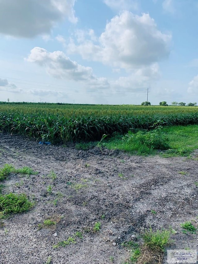 00000 Nelson Rd, Rio Hondo, TX 78583 - photo 2