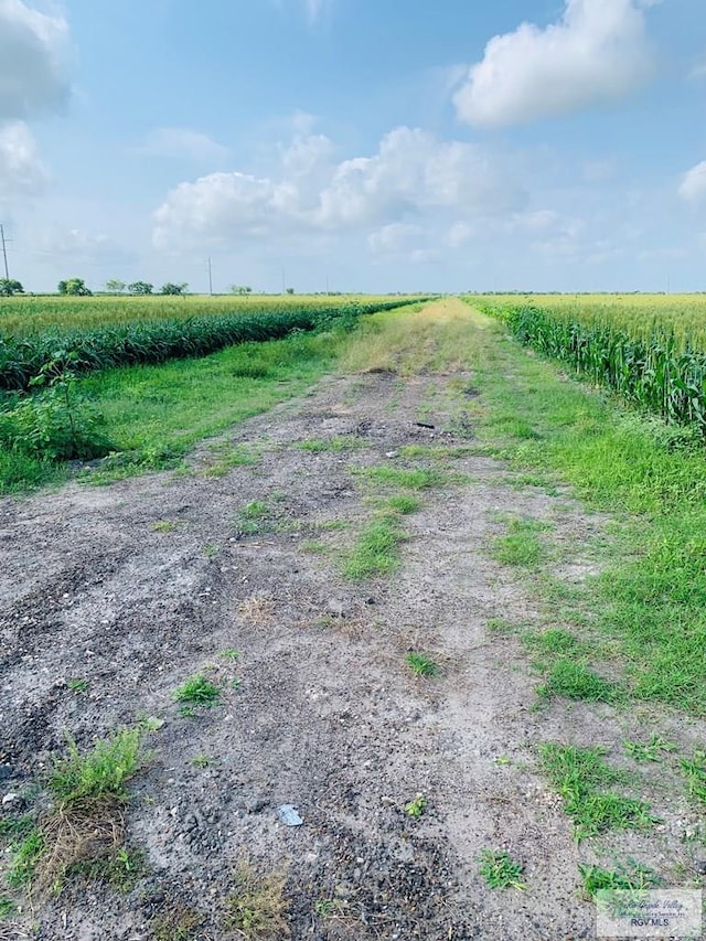 00000 Nelson Rd, Rio Hondo, TX 78583 - photo 3