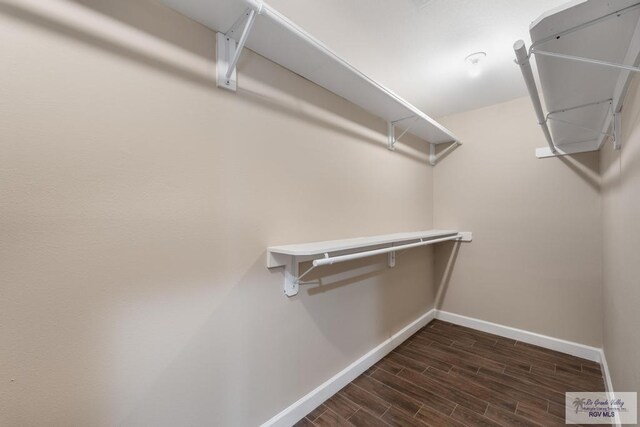 716 E Palm Valley Dr, Harlingen, TX 78550 - walk in closet with dark wood-type flooring