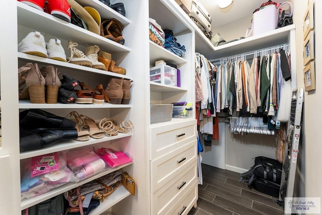 spacious closet featuring wood tiled floor