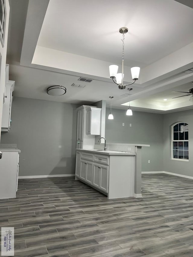 kitchen featuring white cabinets, dark hardwood / wood-style floors, and a tray ceiling