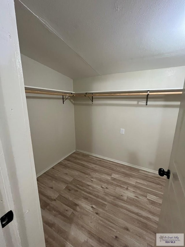 spacious closet featuring wood-type flooring