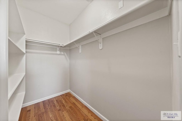 walk in closet featuring wood finished floors