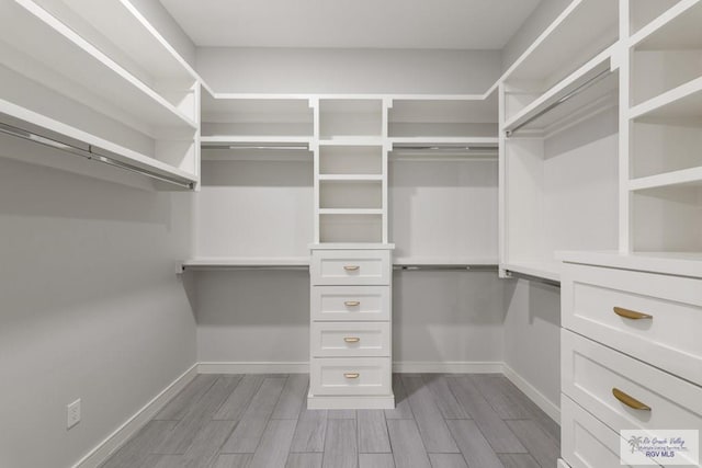 walk in closet with light wood-type flooring