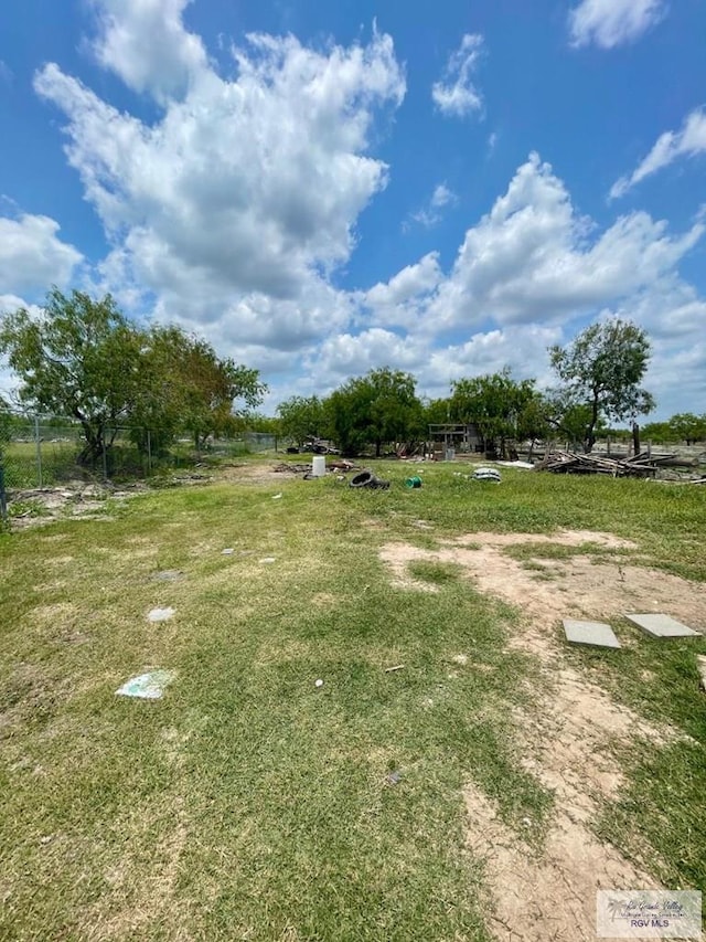 23362 Fm 506, Santa Rosa, TX 78593 - view of yard