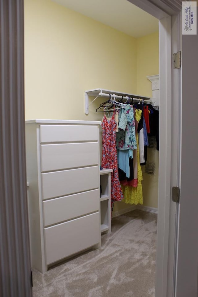 spacious closet with light colored carpet