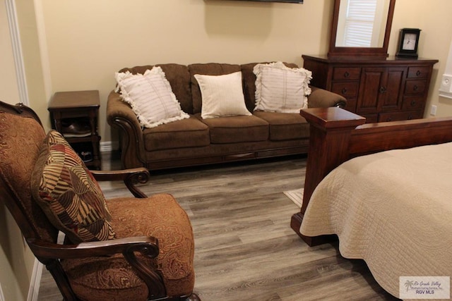 bedroom with hardwood / wood-style floors