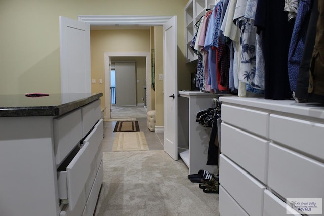 spacious closet featuring light carpet