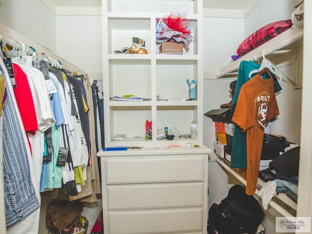 view of walk in closet