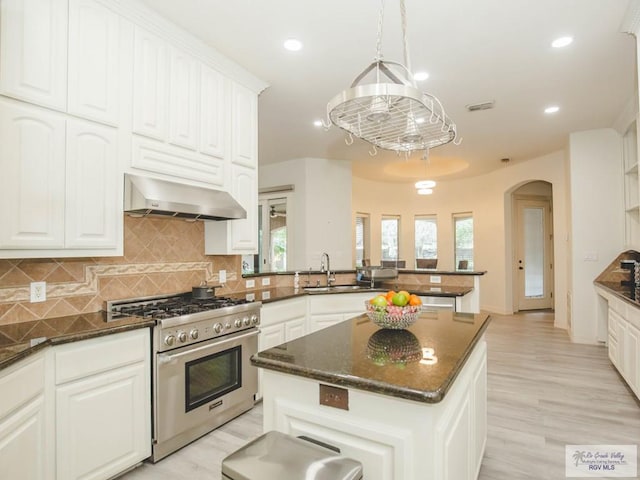 kitchen with high end range, ventilation hood, light hardwood / wood-style flooring, and a healthy amount of sunlight