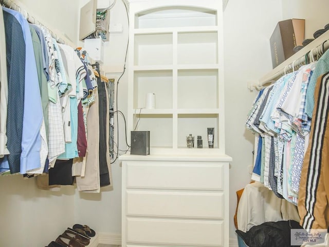 view of spacious closet