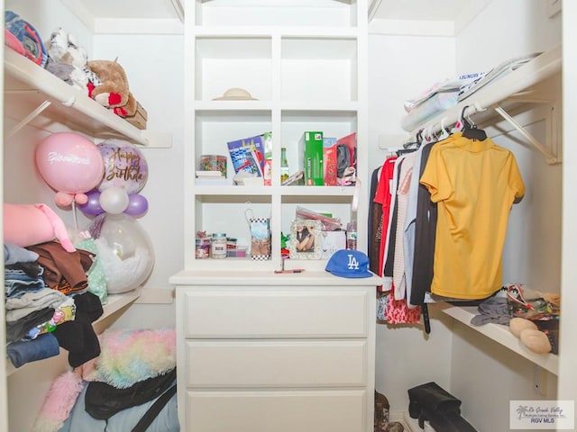 view of walk in closet