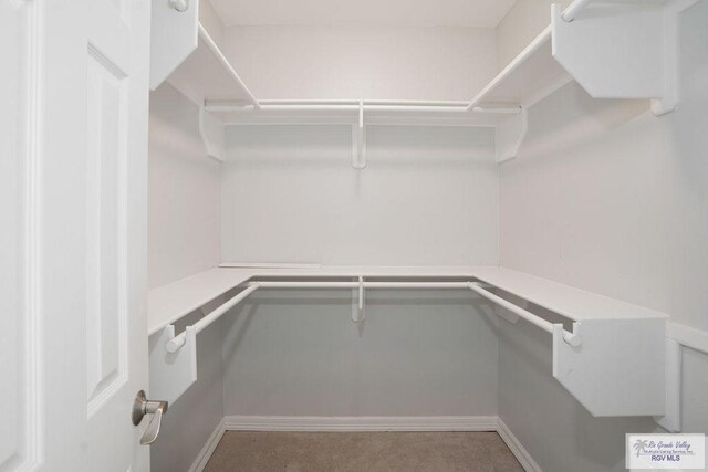 6401 Fountain Way S, Padre Island, TX 78597 - view of walk in closet