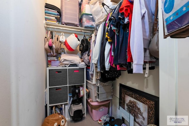 view of spacious closet