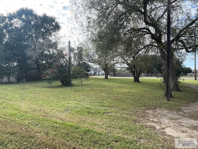 view of yard