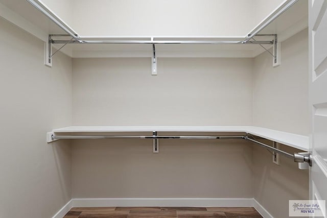 walk in closet featuring dark hardwood / wood-style floors