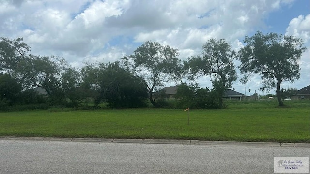 Listing photo 3 for 00 W Canal St, Los Fresnos TX 78566