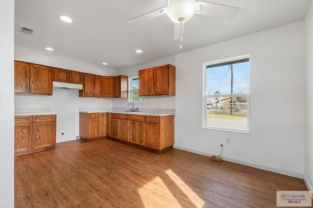 kitchen with wood-type flooring, sink, and ceiling fan