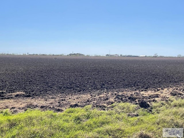 Listing photo 3 for 40ACRES Brown Tract Rd, Rio Hondo TX 78583