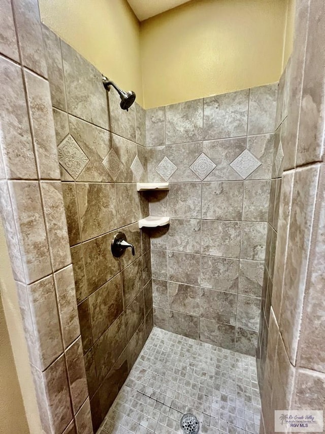 27281 Palm Blvd, Harlingen, TX 78552 - bathroom with tiled shower