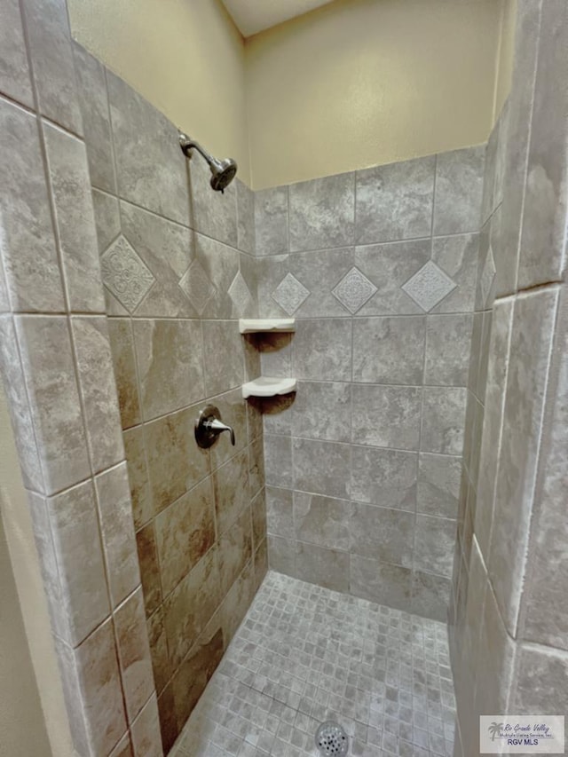 27281 Palm Blvd, Harlingen, TX 78552 - bathroom with a tile shower