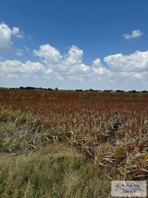 Listing photo 3 for 11.474ACRES Fm 345, Rio Hondo TX 78583