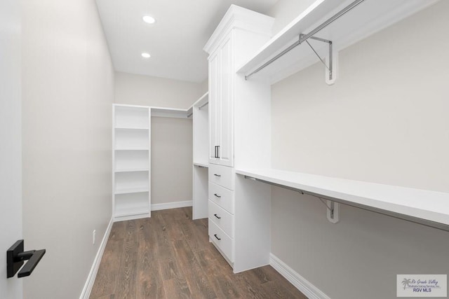 spacious closet featuring dark hardwood / wood-style floors