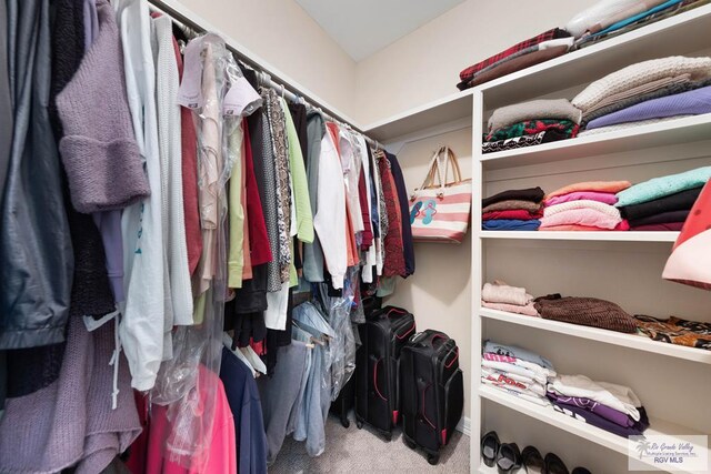 spacious closet with carpet flooring