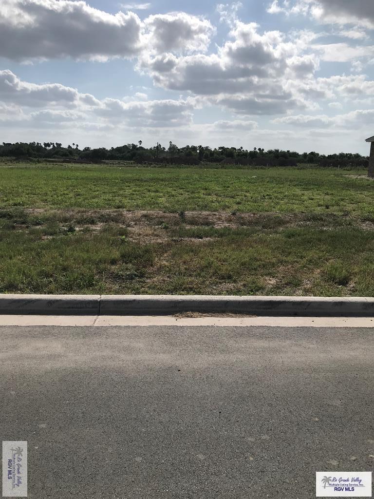 1405 Thacker Ln, Harlingen, TX 78552 - photo 2