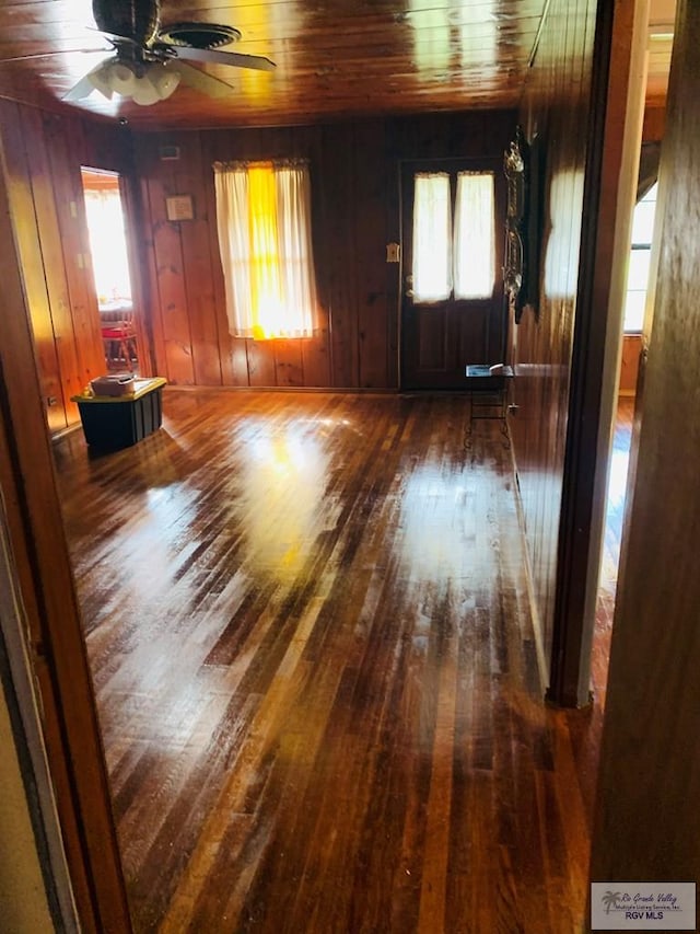 interior space featuring ceiling fan, wood ceiling, dark wood-type flooring, and wooden walls