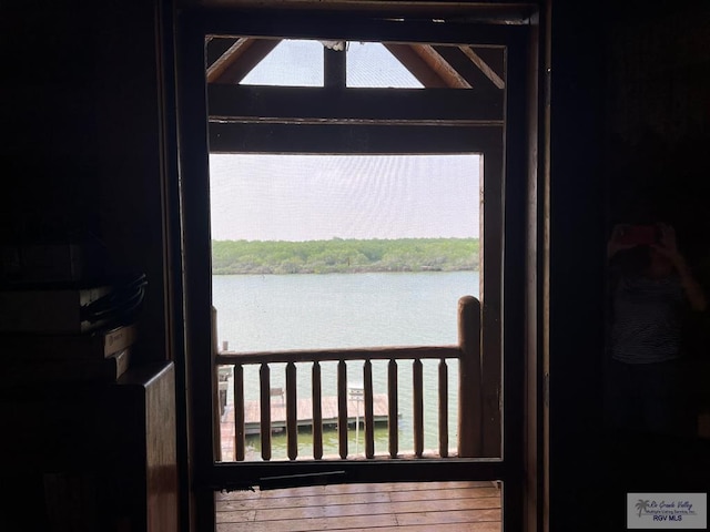 doorway to outside featuring a water view and a wealth of natural light