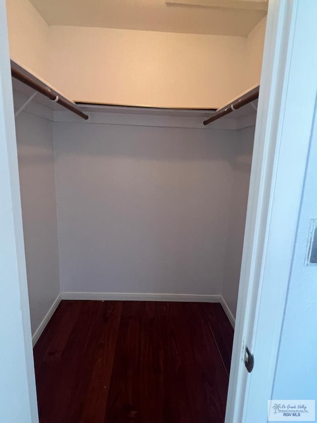 spacious closet with dark hardwood / wood-style flooring