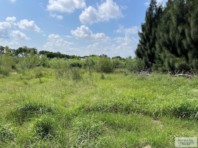 0 Stanford Rd, Los Fresnos, TX 78566