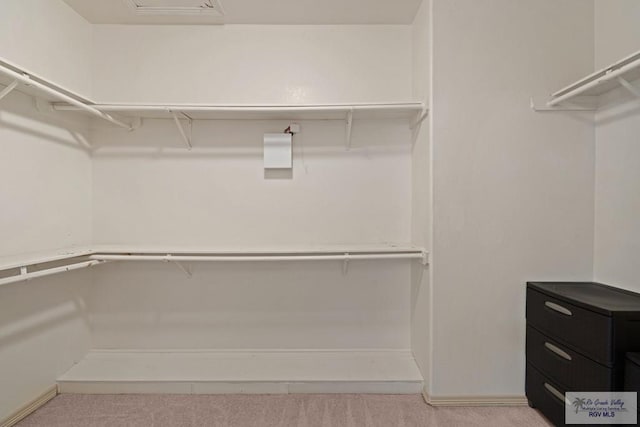3271 Emerald Valley Blvd Unit 8, Brownsville, TX 78526 - spacious closet featuring light colored carpet