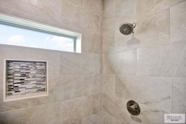 1829 Stirrup Cir, San Benito, TX 78586 - bathroom view of a tile shower