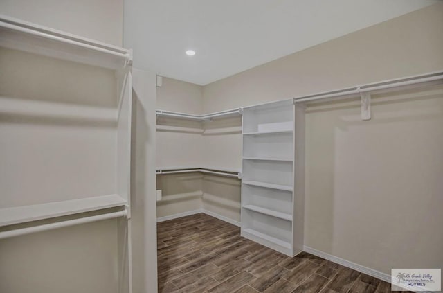 1829 Stirrup Cir, San Benito, TX 78586 - walk in closet with dark wood-type flooring