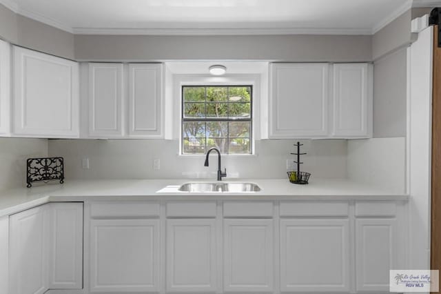 23570 Stuart Place Rd, Harlingen, TX 78552 - kitchen featuring a sink, white cabinets, light countertops, and crown molding