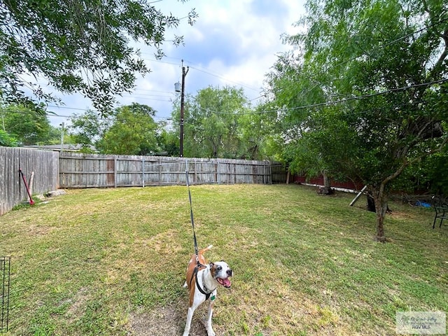 2013 E Jackson St, Harlingen, TX 78550 - view of yard