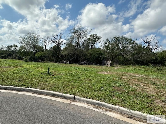 Listing photo 2 for 0000 Girona Cir, Brownsville TX 78521