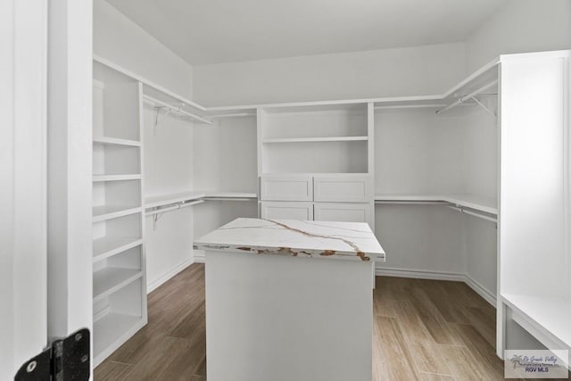 6221 King Palm Loop, Brownsville, TX 78526 - spacious closet featuring wood finished floors