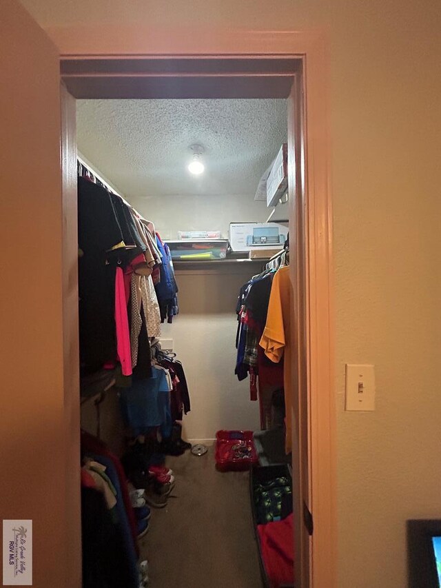 spacious closet with carpet flooring