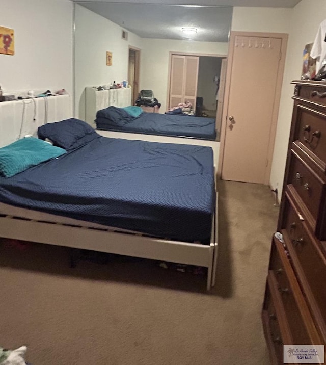 bedroom with carpet flooring and a closet