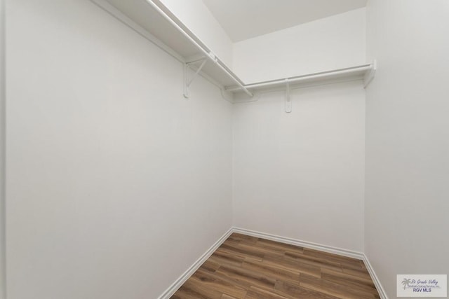 walk in closet with dark hardwood / wood-style floors