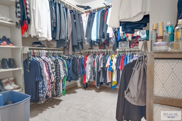 view of spacious closet