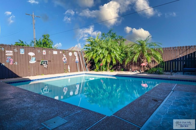 view of swimming pool