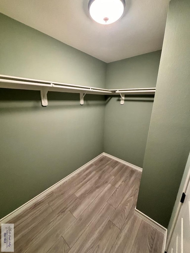 walk in closet with hardwood / wood-style floors