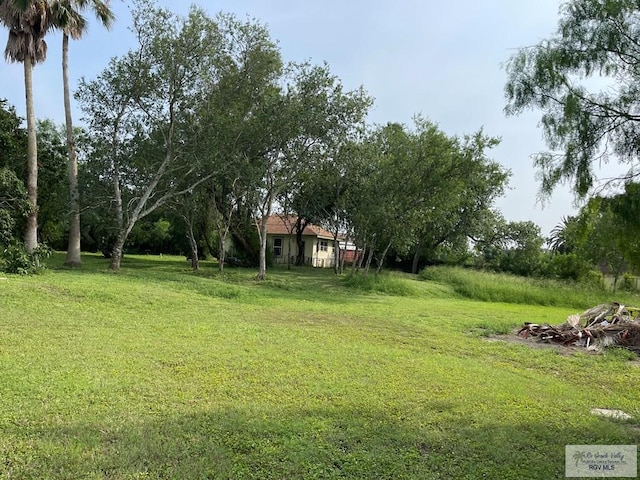 125 W Resaca Rd, Bayview, TX 78566 - view of green lawn