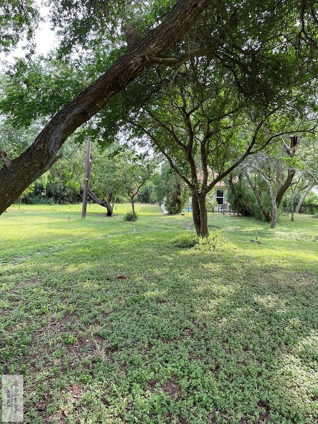 125 W Resaca Rd, Bayview, TX 78566 - view of green lawn